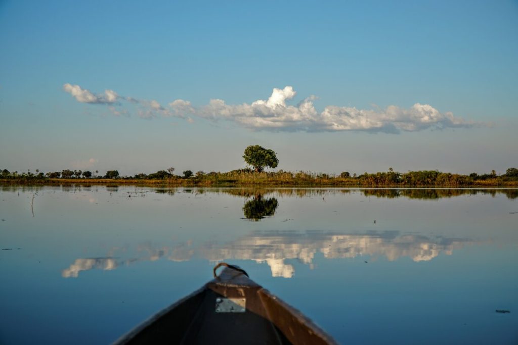 Mokoro in Okavango Delta