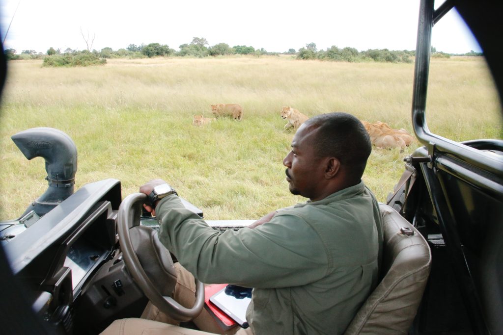 safari driver in serengeti national park